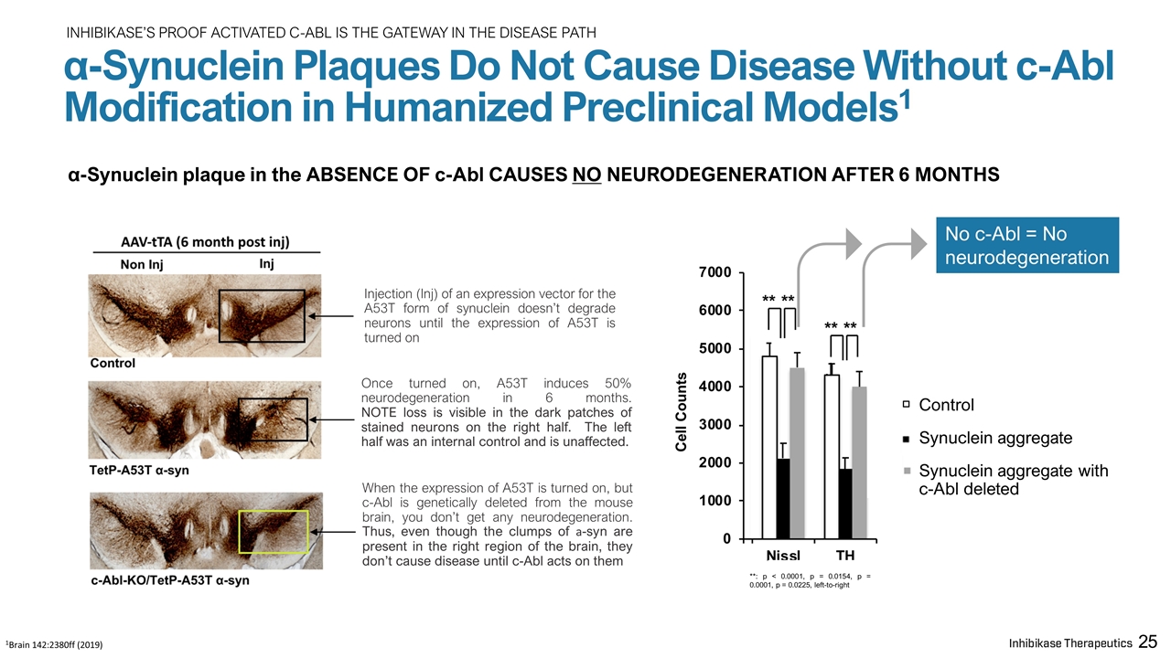 Slide 25