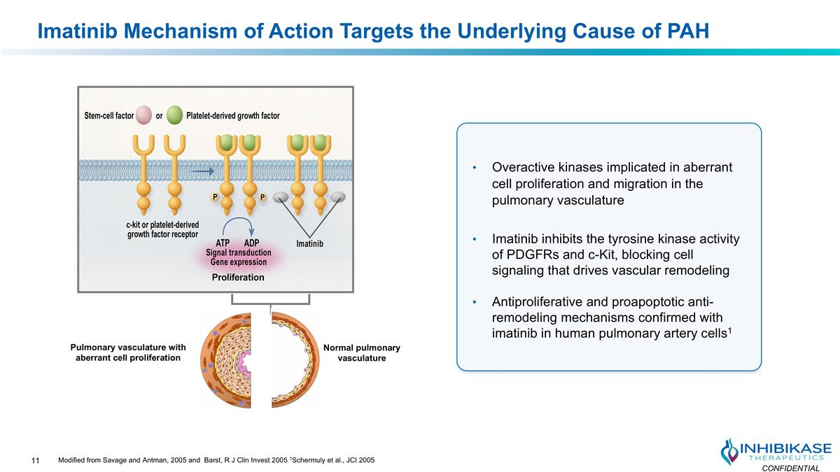 Slide 11