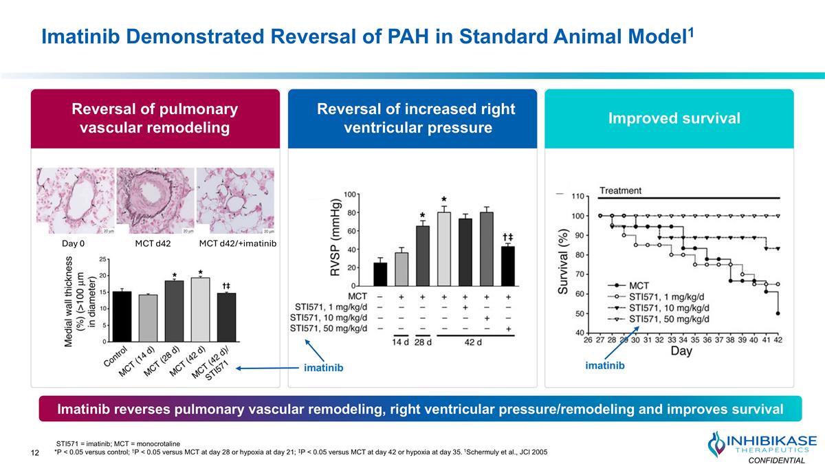 Slide 12
